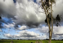 姆巴佩独造4球为何能震撼足坛？他的表现藏着哪些足球密码？